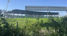 Stadion an der Kreuzeiche (SSV Reutlingen). 2023-09-09